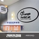 오렌지펫살롱 이미지