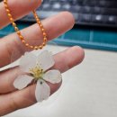 청수고 | [대학원]교육실습 전~1주차 기록(25.04.28.~25.05.04.) : 너무 정신이 없잖아!