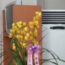 반딧불마을 이미지