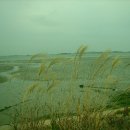 오늘의 찬 이미지