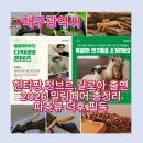 어린이 유튜버를 위한 영상편집 | 2026 대구 밀림페어 파충류 박람회 총정리｜헌터팡.정브르 온다! 대구 EXCO 일정·사전예약·전시·분양...