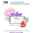 아르망디 | 여자 여름향수 추천 플로럴한 밤쉘향수 디아르망밤쉘 후기