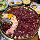금동광고 | 전현무계획 한우 생고기 맛집 [금동화로] 광주 신창동 저녁 추천