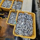 제수용30미병어/3단병어/ 생멸치젓갈/ 모듬해초/두절조기판매합니다^^ 이미지