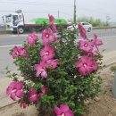 국도주유소 이미지