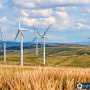 강남 참 행정사사무소 이미지