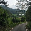 양평토박이부동산공인중개사사무소 이미지