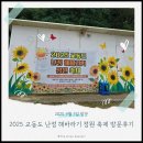 난정저수지 | 강화도 갈만한곳 | 교동 난정저수지 해바라기축제 솔직 방문 후기