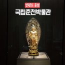 강원체육회관 | 국립춘천박물관 비오는 날 서울 근교 실내데이트 가볼만한곳