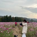 율곡화장실 | 가을 파주 가볼만한 곳 #율곡습지공원 방문후기 /애견동반/화장실/주차장