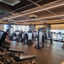 포시즌스크린골프 이미지