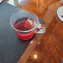 파라디조 이미지