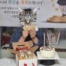 [효도] 엄마 환갑 이벤트 후기 💕 (현수막, 케이크, 현금꽃다발, 현금이벤트)