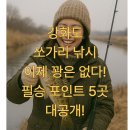 한탄강 낚시터 | 강화도 쏘가리 낚시, 이제 꽝은 없다! ✨ 필승 포인트 5곳 대공개!