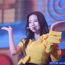 큐리어스 Daum카페
