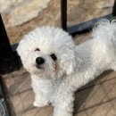 준독트레이닝센터 이미지