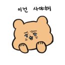 드숑 이미지