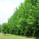 미리농장 이미지