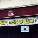 에이티주짓수 네이버블로그