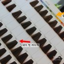 세시봉미용실 네이버블로그