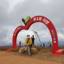 아스타축제 이미지