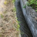 감산2리 이미지