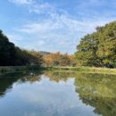 버드나무캠핑장 이미지