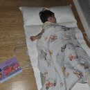 영성횟집 | 24년 7월 셋째 주-2 (녹동오늘감사한끼,mkrcoffee,소록도 한센병박물관,고흥우주천문과학관,영성횟집,쑥섬)