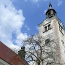 호수중앙교회 이미지