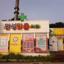 안성마춤로컬푸드행복장터