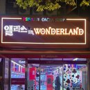 뽀끼뽀끼 | 당진 터미널 인형뽑기 앨리스 인 원더랜드 뽀끼뽀끼 인형뽑기방 후기