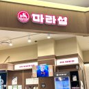 롯데아울렛~롯데몰 교통섬1 | [부산 기장] 동부산 롯데아울렛 맛집, 마라탕+딤섬 조합🤤 “마라섬” 후기