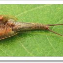 솔뫼농장 이미지