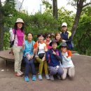 숲길 걷기 동아리 활동 이미지