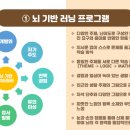 써니브레인