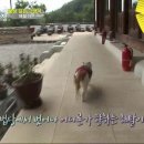 상귀농장 이미지