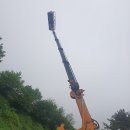 세종특장 이미지