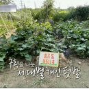 남동하우스 이미지