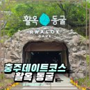 활옥 동굴 솔직 리뷰ㅣ동굴 탐험에 보트, 와사비 아이스크림까지?