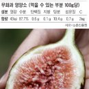 無없을(무)花꽃(화)果열매(과) ; 9월 제철 이미지