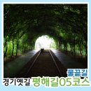 경기 옛길] 평해길 05코스 물끝길(양근나룻길) 신원역 ~ 양평역 (국수역, 아신역, 양근 성지, 물안개공원)