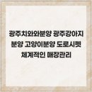 광주강아지분양 고양이분양 도로시펫 | 광주치와와분양 광주강아지분양 고양이분양 도로시펫 체계적인 매장관리