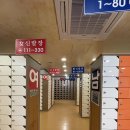 황금스파 이미지