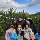 2024 제주 여행이야기 / 감귤체험 미즈허팜 / 세자매 체험수기 ♡/ 재방문 의사 있음 ☆
