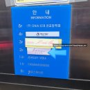 보네르 헤어