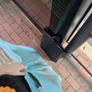 신라표구화랑 이미지