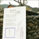 꽃담길 - 고성군 | 꽃담길