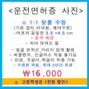 8월 전북운전면허시험장_ 시험 일정 이미지