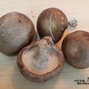 문용농장 이미지