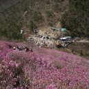 성산초등학교 | 여수 영취산 (靈鷲山) 산행기 2부